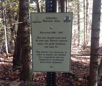 Interpretive trail sign on the Spring Break self-guided forestry tour, Smyrna